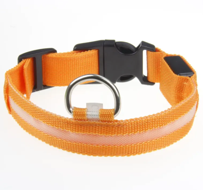 LED Dog Collar